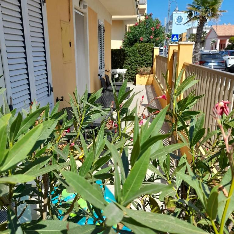 Levante Seafront - Casa Casoni - Appartamento con 1 Camera da Letto - 4