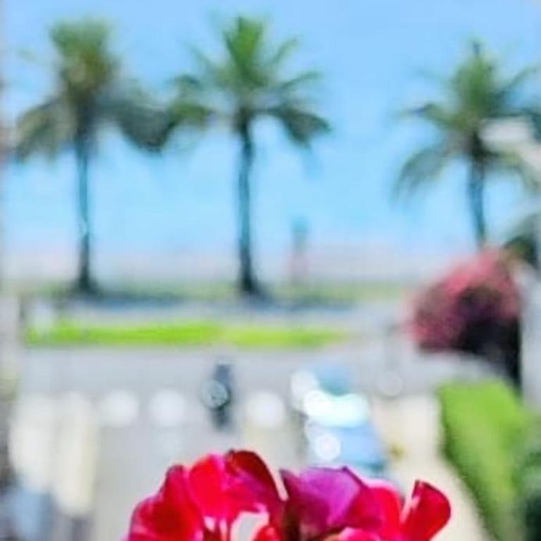 Sweet Suite Nice - Appartamento con Vista Mare - 5