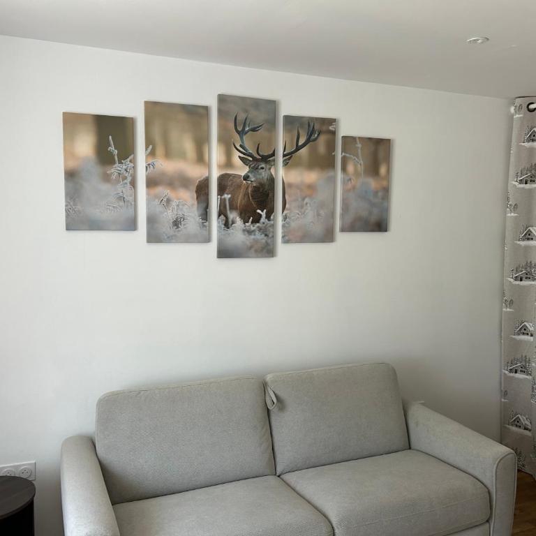 Cosy T2 bis avec 2 balcons cave à skis vélos et parking gratuit - Appartement 1 Chambre - 11