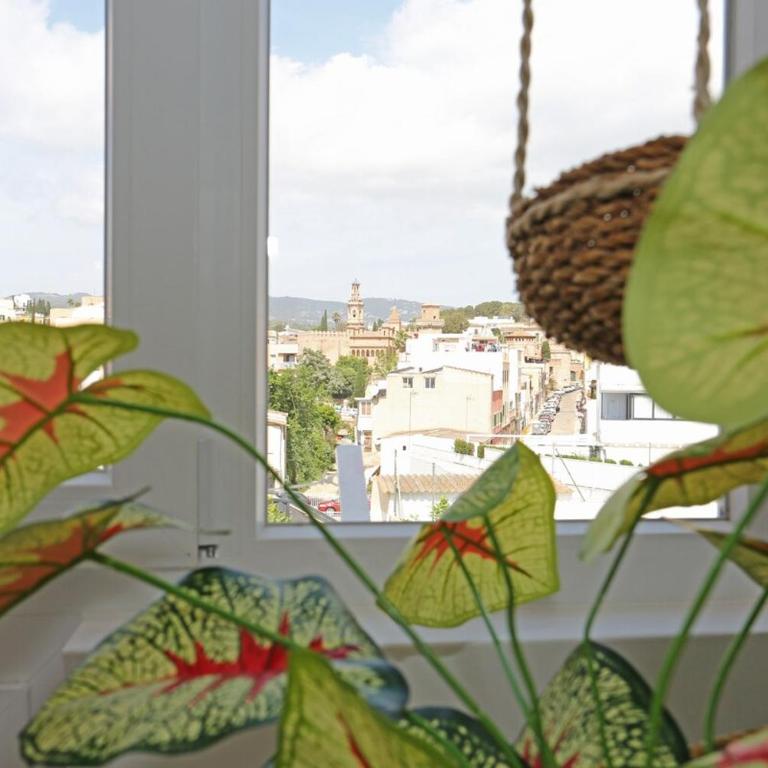 PALMA Apartment for long stay 120 M - Maison 3 Chambres - 15
