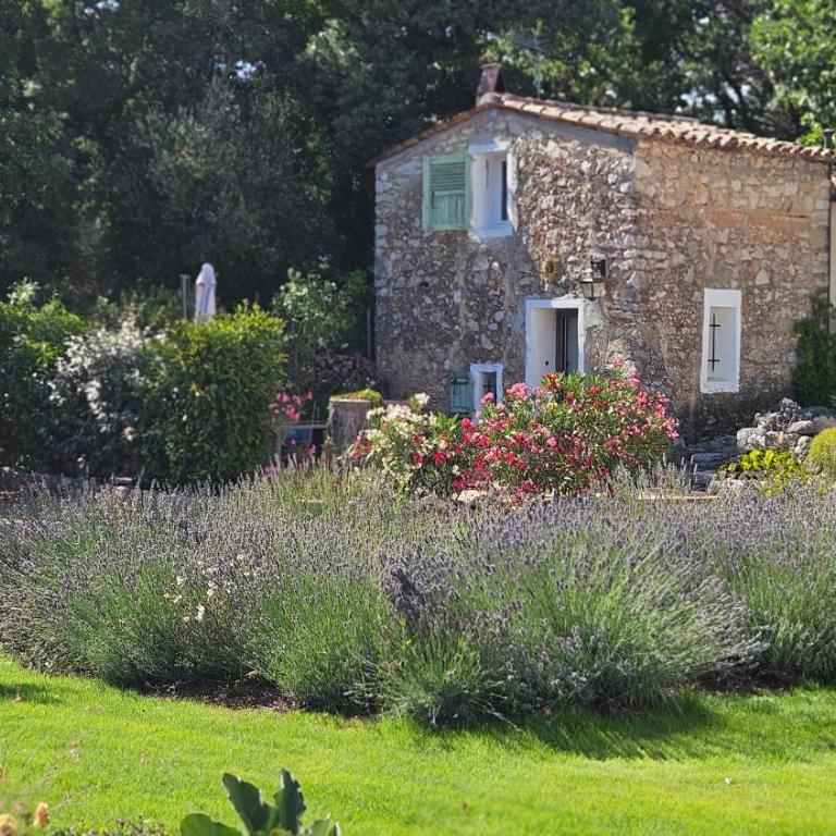 Mazet (maisonnette provençale) - Maison 1 Chambre - 1