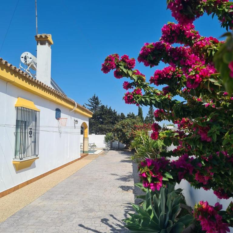Casa Igna - Three-Bedroom House - 21