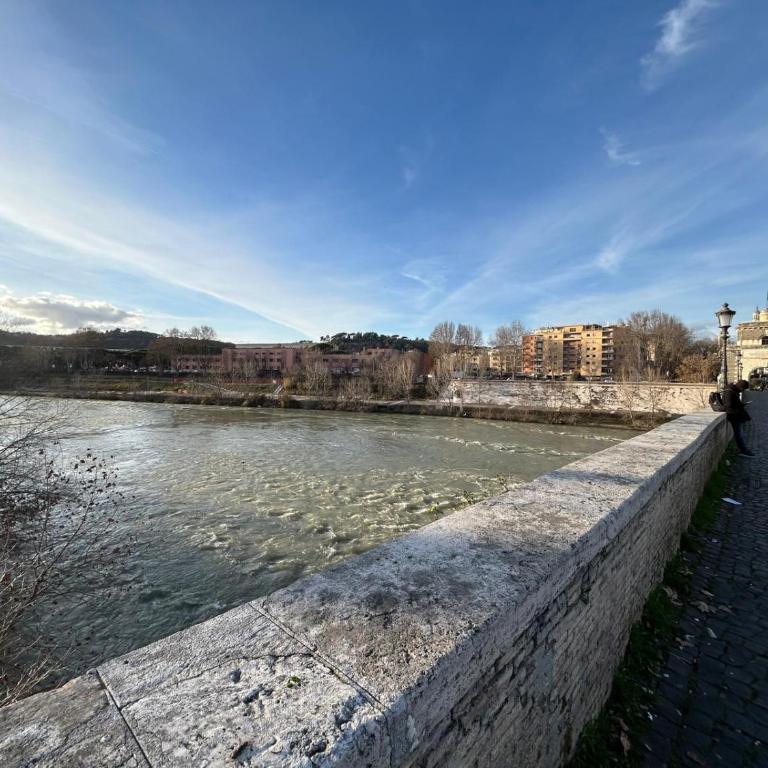 Flaminio Center Apartment - Appartamento con 3 Camere da Letto - 35