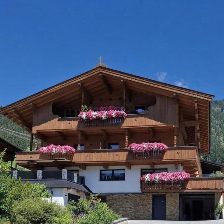 Haus Raimund " KLEIN aber FEIN " - Apartment mit Blick auf die Berge - 3