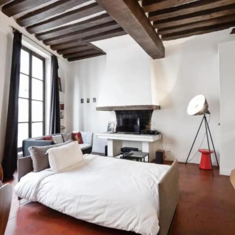 Parisian Apartment With Terrace in Saint Michel-Notre Dame - Appartement 1 Chambre - 3