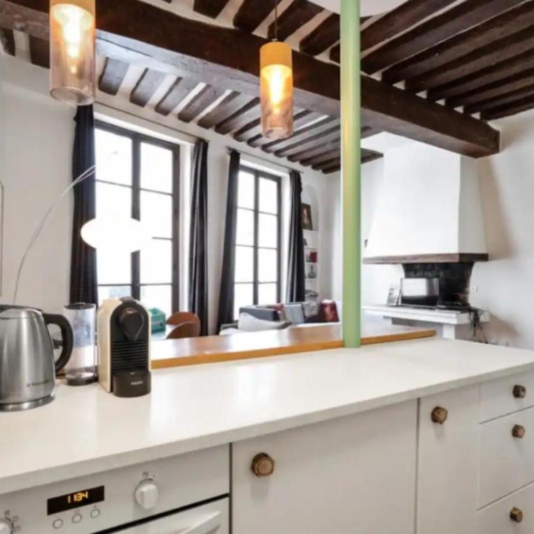 Parisian Apartment With Terrace in Saint Michel-Notre Dame - Appartement 1 Chambre - 12