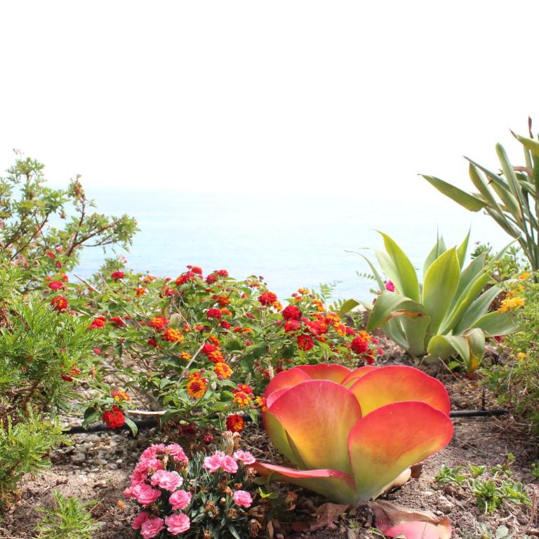 SPACIOUS FRONT-LINE BEACH APARTEMENT, SOUTH FACING, AIRCO, WiFi, AMAZING VIEWS - Apartment mit 3 Schlafzimmern - 8