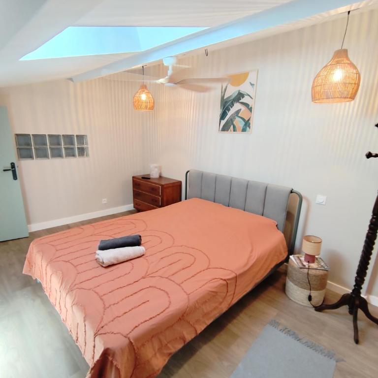 Maison de Charme Rénovée 3 Chbres Hyper Centre Historique - Appartement 3 Chambres - 20