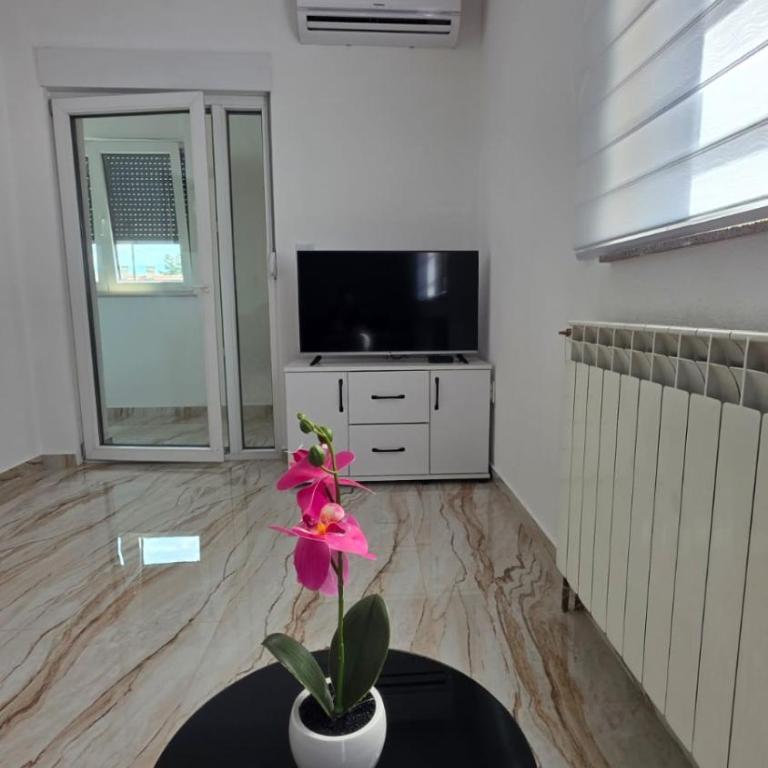 Apartmani Ameti 3 - Apartman sa 1 Spavaćom Sobom - 5