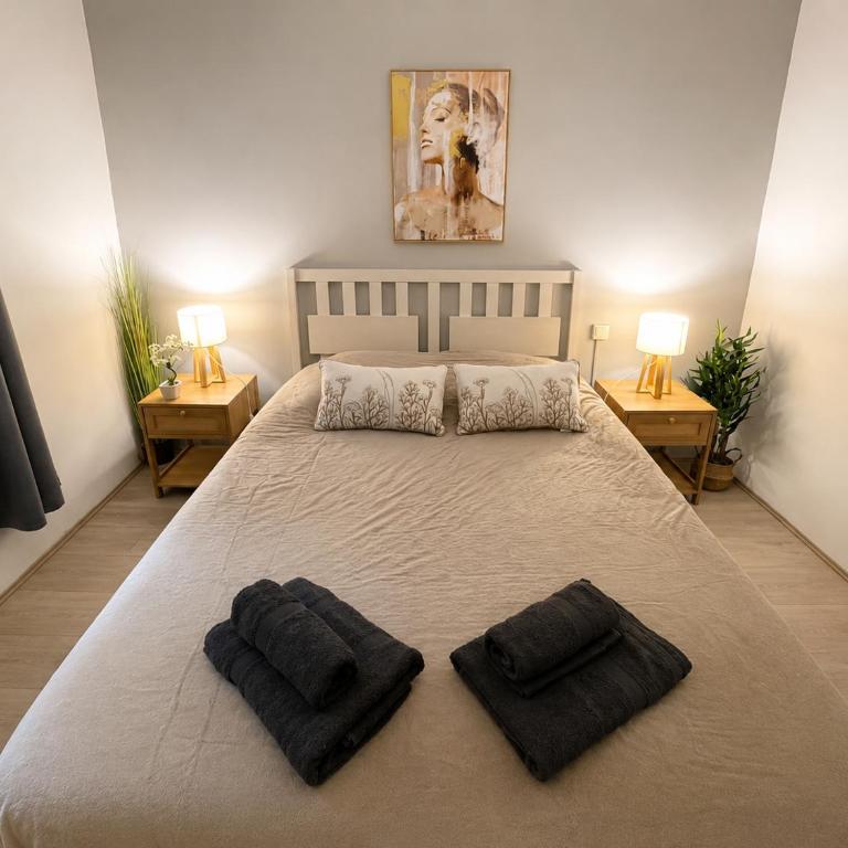 Cosy & Clim Parfait jusqu'à 6 voyageurs bus gare shopping centre - Appartement 2 Chambres - 5