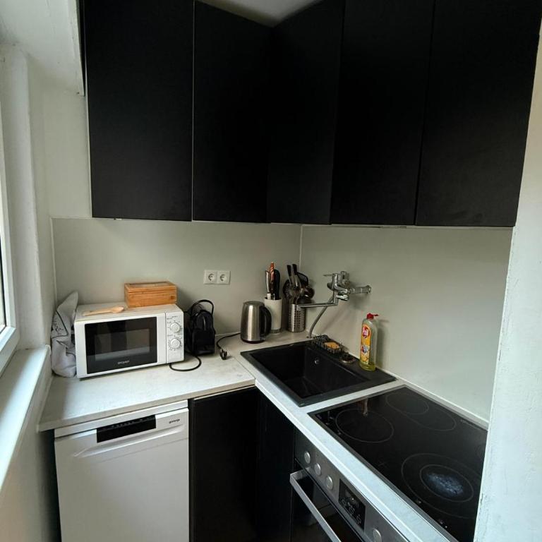 Studio mit Garten - Apartamento de 1 dormitorio - 13