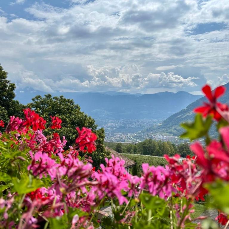 Obermairhof - Appartamento Monolocale - 3