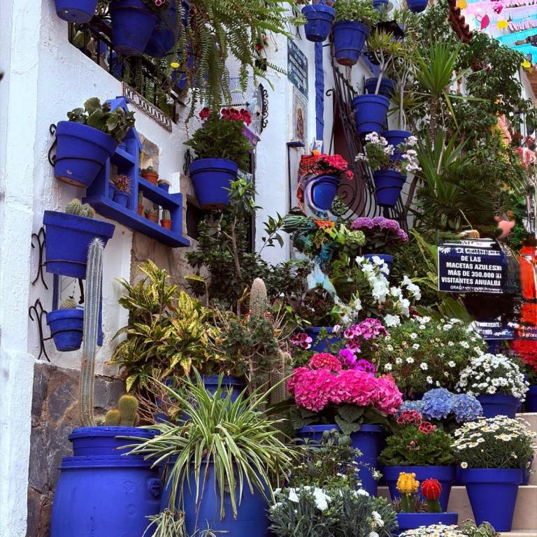 Casa Alma - Ferienhaus mit 3 Schlafzimmern - 29