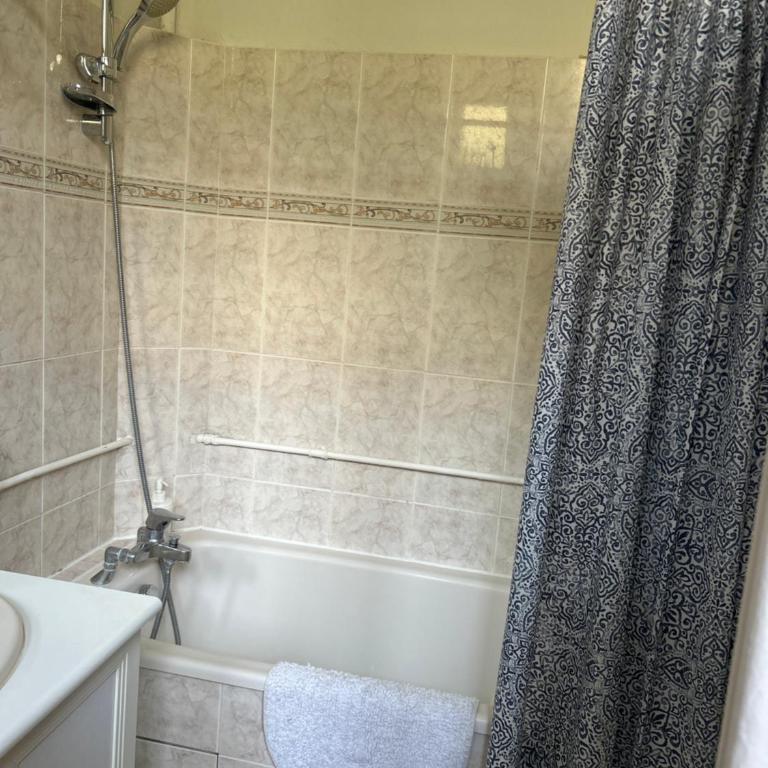 Cosy studio hyper centre balcon Wifi - Apartment mit 1 Schlafzimmer - 9