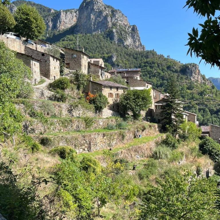 Maison de charme en pleine nature 6 personnes - Maison 3 Chambres - 1