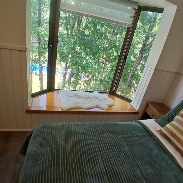 Departamento en Pucón - Apartamento de 2 dormitorios - 3