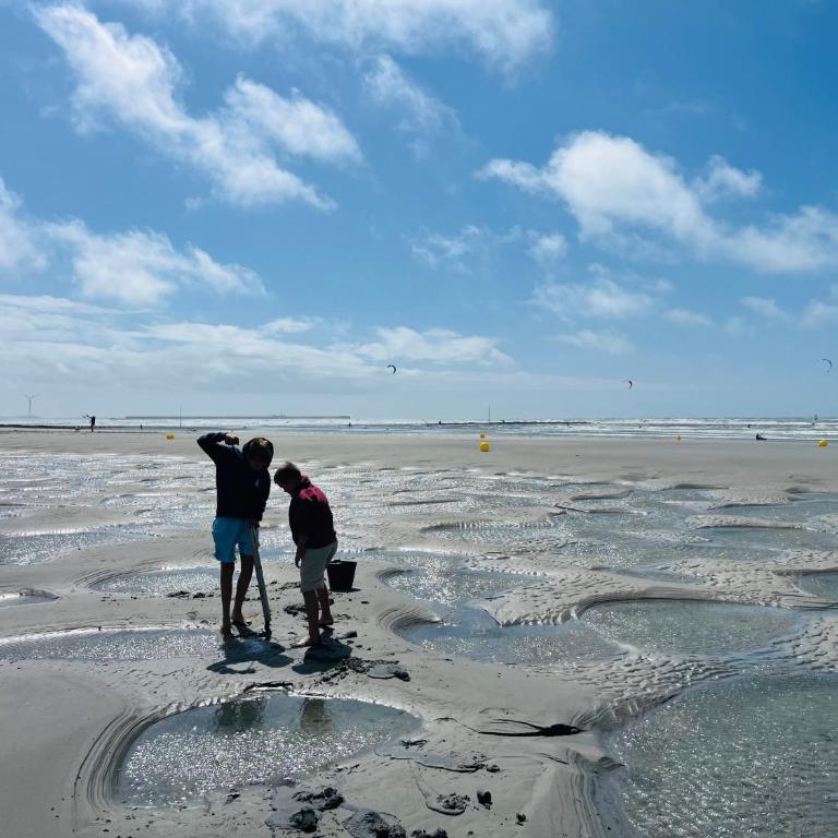 Les Pieds Dans L'Eau - votre cocon de vacances sur la plage - Apartamento de 1 dormitorio - 7