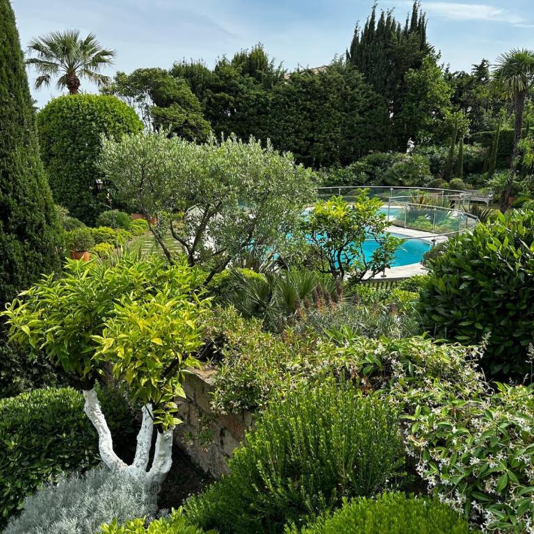 Elegant studio with terrace and lush garden - Appartement 1 Chambre - 5