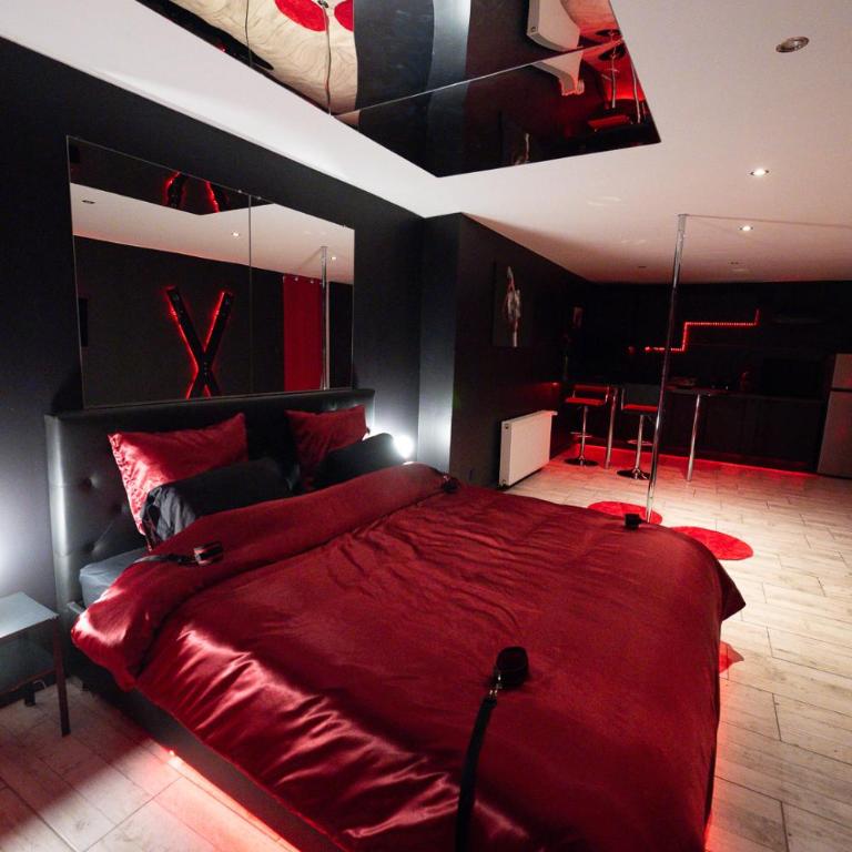 LOVE ROOM - 3 DÉSIRS - Entre Passion, Tentation et Évasion - Appartamento con 1 Camera da Letto - 12