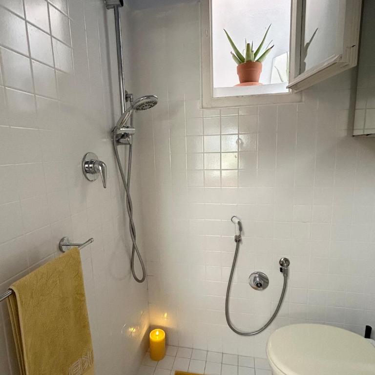 Garden studio in Livorno old town by sea & ferry - One-Bedroom Apartment - 4