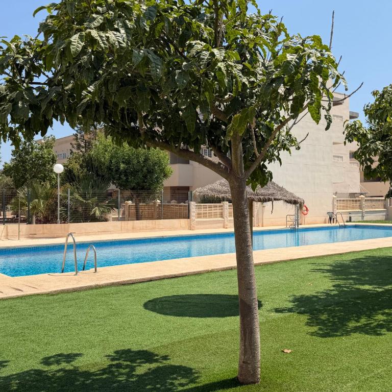 Ático en El Toyo - Apartamento de 1 dormitorio - 7