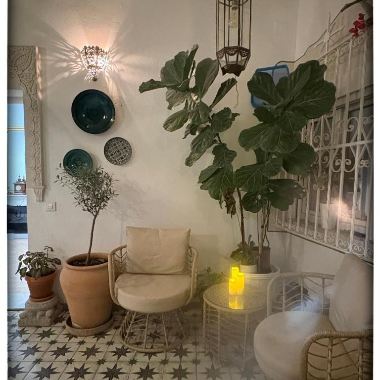 Centro de Jerez Casa Patio Sur - Appartement 1 Chambre - 13
