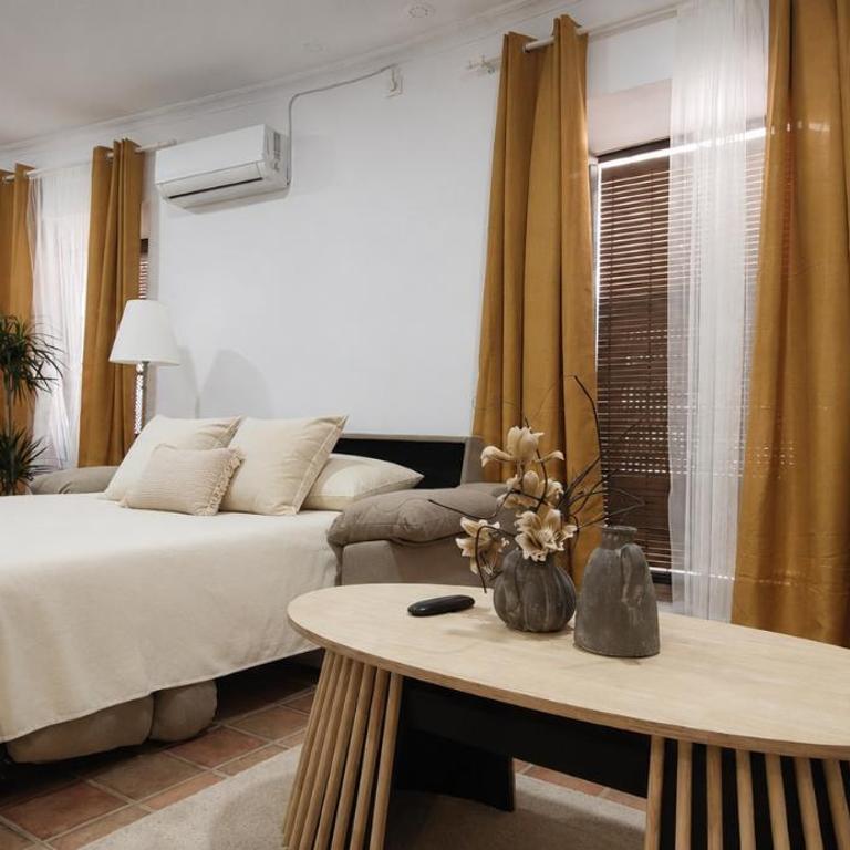 Centro de Jerez Casa Patio Sur - Appartement 1 Chambre - 14