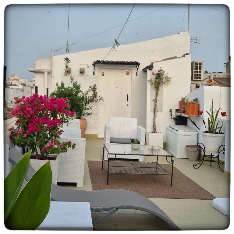 Centro de Jerez Casa Patio Sur - Appartement 1 Chambre - 17