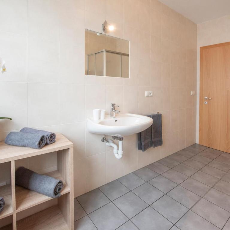 Wendlhof - Appartements - Appartamento con 1 Camera da Letto, Balcone e Vista Montagna - 16