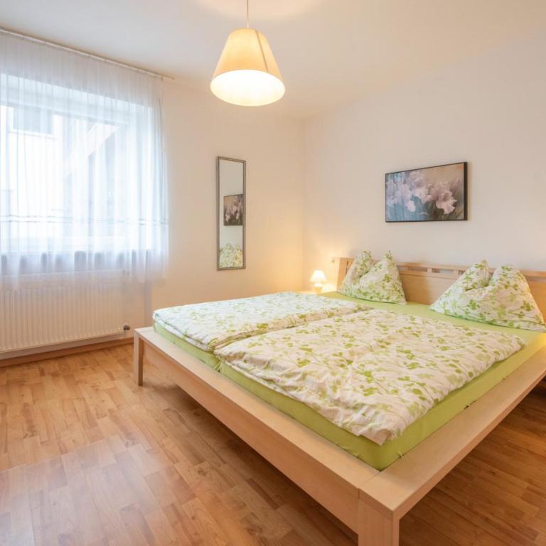 Wendlhof - Appartements - Appartamento con 1 Camera da Letto, Balcone e Vista Montagna - 11