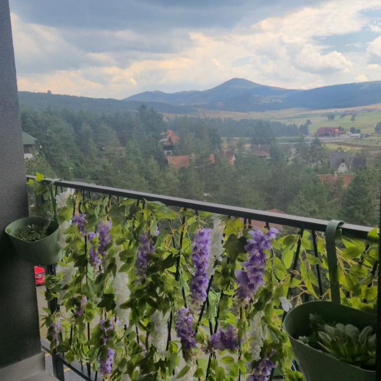 Srebrna pahulja - centar 500m, parking obezbedjen - Apartment mit 1 Schlafzimmer - 2