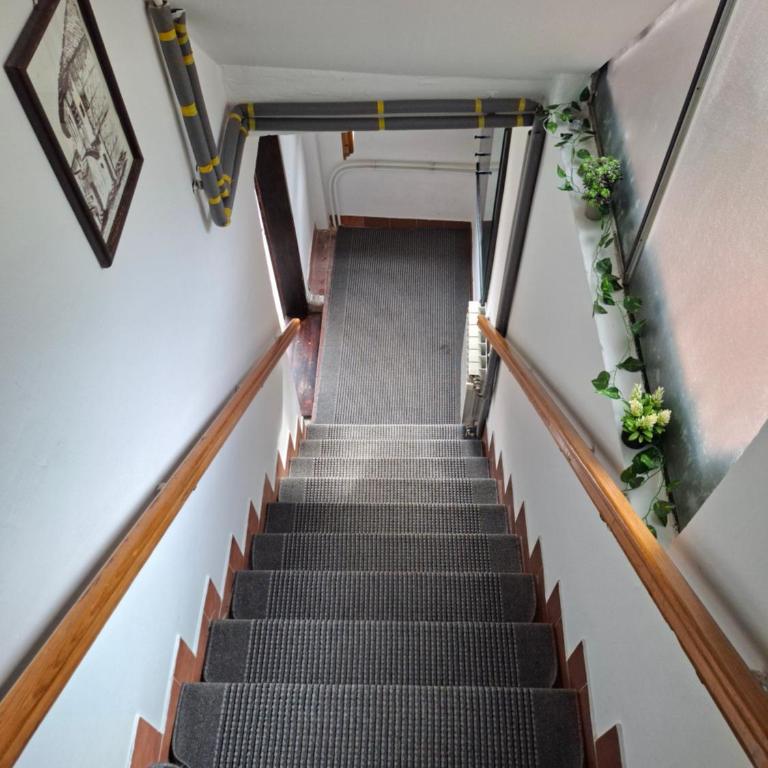 Apartman Mickey - Dvokrevetna Soba sa Bračnim Krevetom i Sopstvenim Kupatilom - 10
