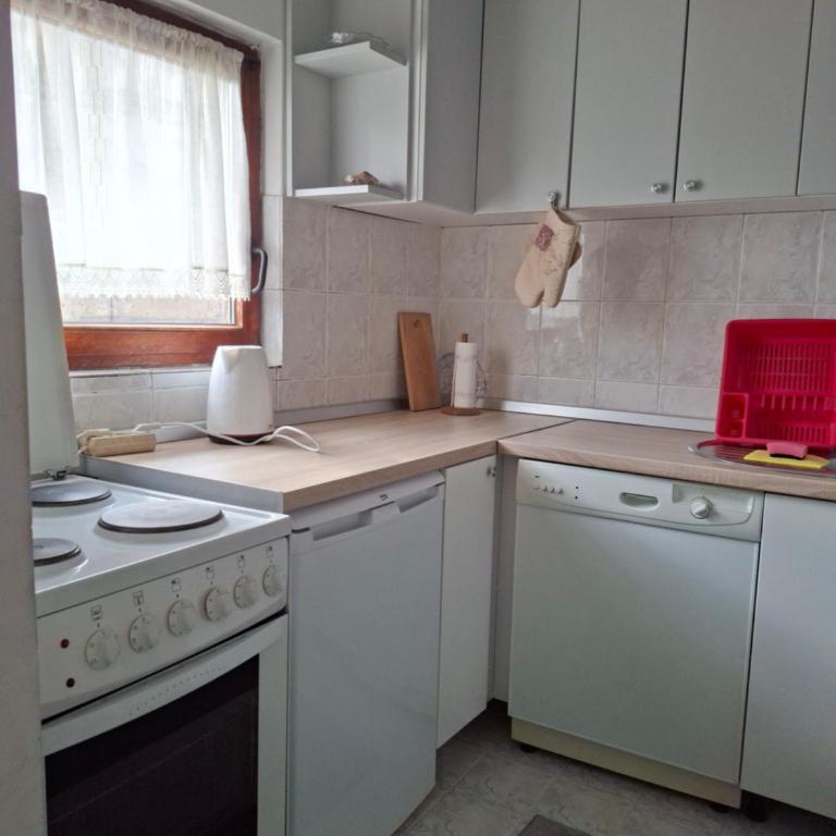 Apartman Mickey - Dvokrevetna Soba sa Bračnim Krevetom i Sopstvenim Kupatilom - 2