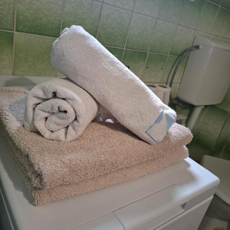 Apartman Mickey - Dvokrevetna Soba sa Bračnim Krevetom i Sopstvenim Kupatilom - 7