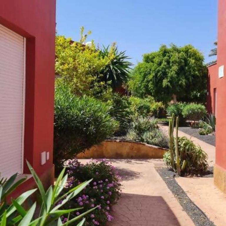 Casa Girasoles terraza patio aire acondicionado - Two-Bedroom House - 6