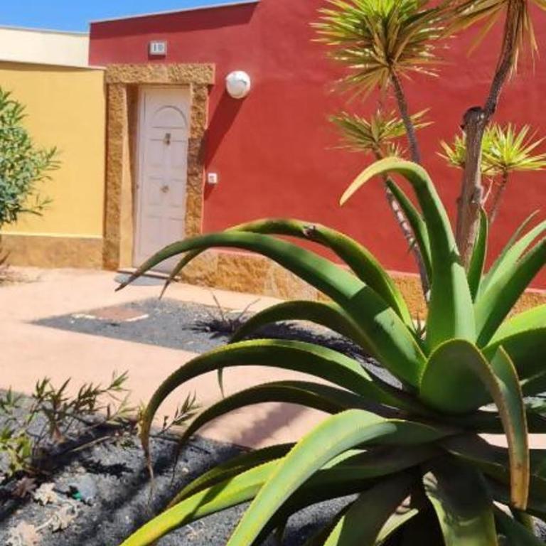 Casa Girasoles terraza patio aire acondicionado - Two-Bedroom House - 30