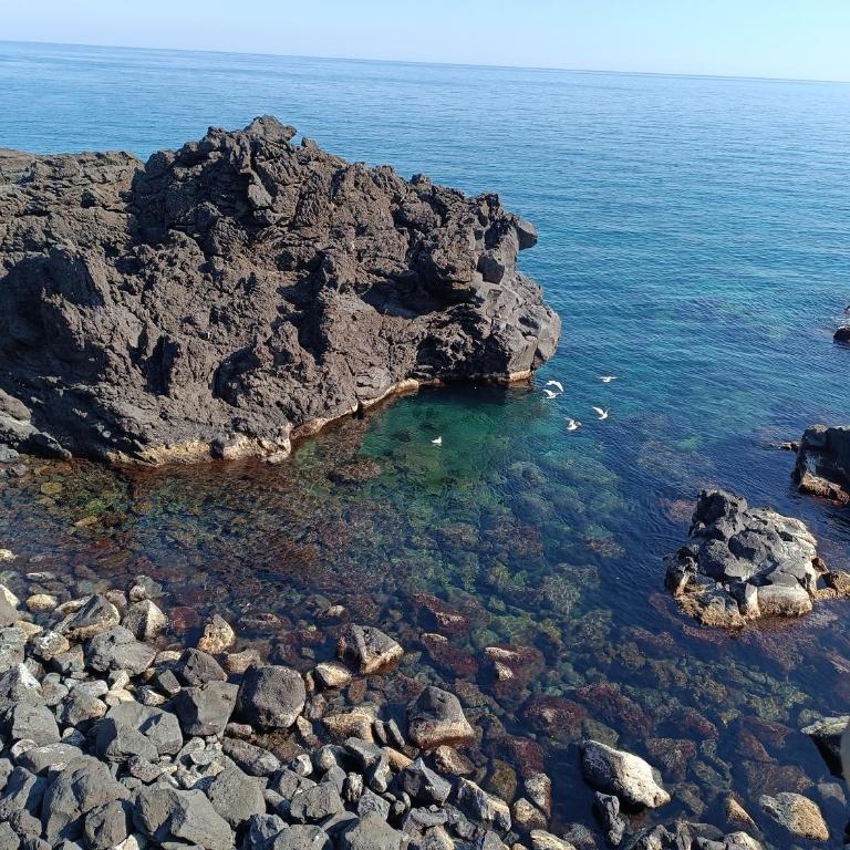 Maison Debora With Parking - Large Apartment for Friends and Families - Appartamento - 6