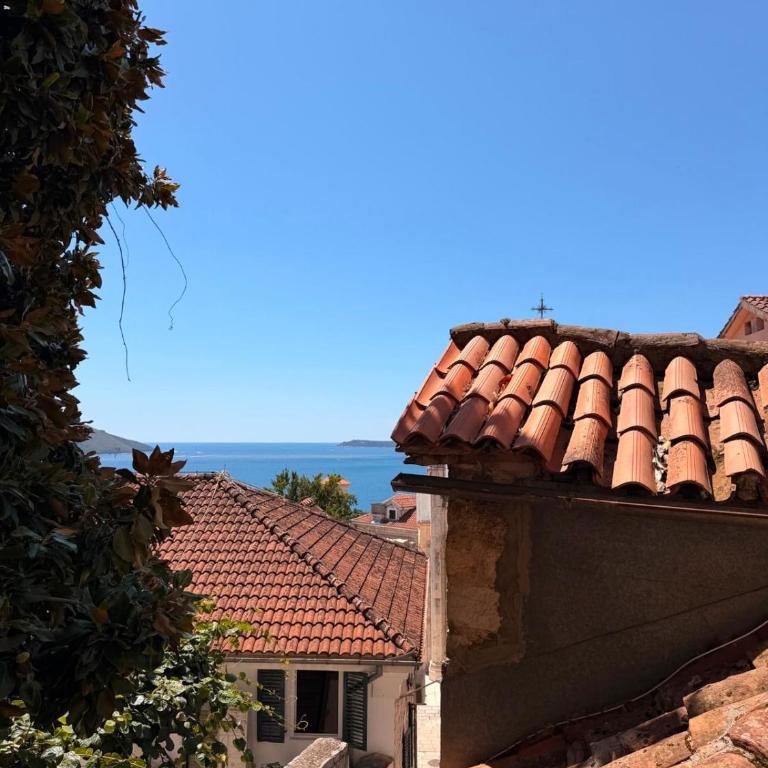 Casa Mimosa - Apartman sa 1 Spavaćom Sobom - 19