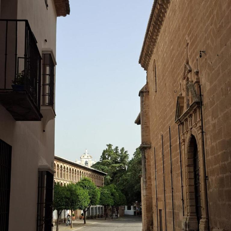 Moctezuma old town -ronda residence 2 - Apartamento de 2 dormitorios con balcón - 47