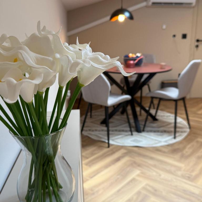 Casa Felicita Sarajevo - Apartman sa 1 Spavaćom Sobom - 15