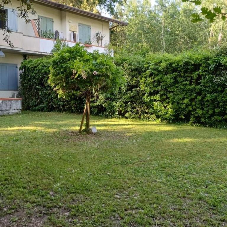 Casa Cianchi - Villa con 3 Camere da Letto - 2