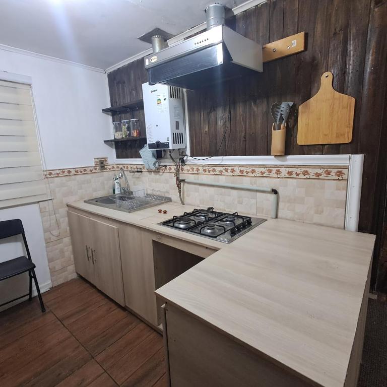 La Cabaña Magallánica Central 1 - One-Bedroom Apartment - 9
