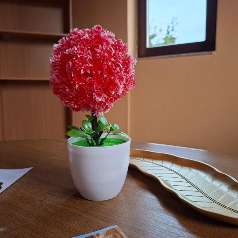 Apartman Mickey - Standardna Dvokrevetna Soba sa Bračnim Krevetom - 8