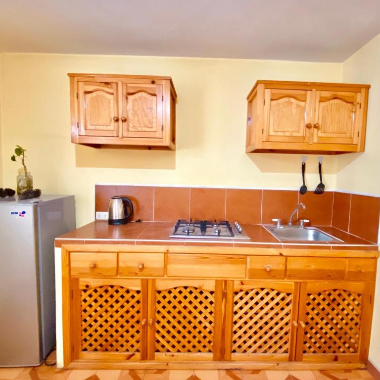 Departamento cerca del centro - One-Bedroom Apartment - 1