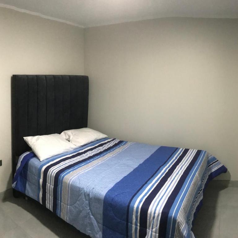 Nazarenas House spacious lodging for Large Group - Apartment - 15