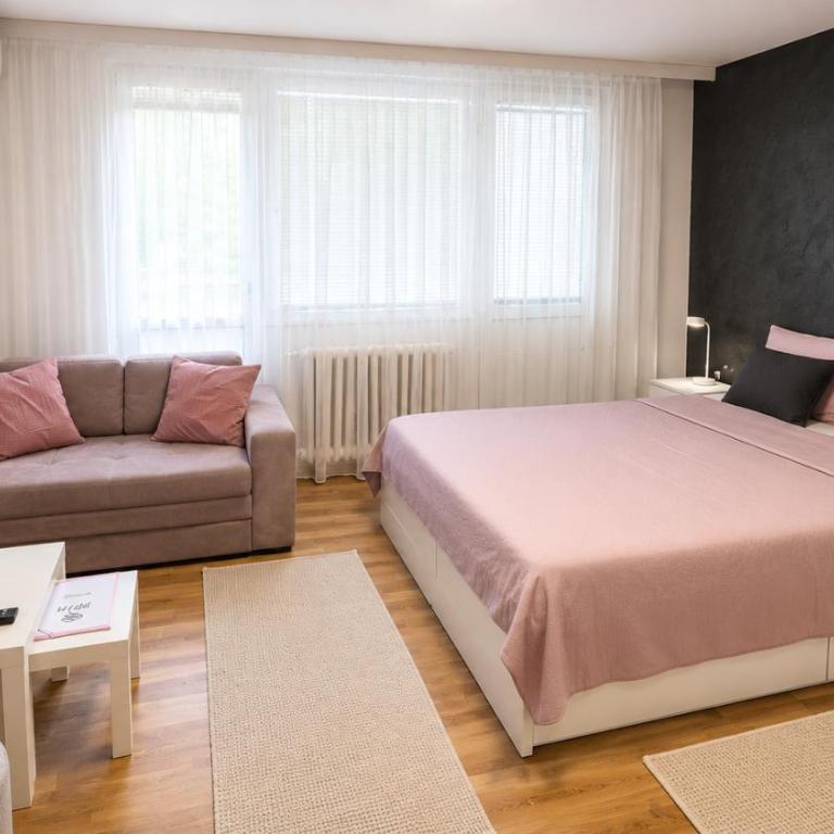Apartman Novi Grad 4 - One-Bedroom Apartment - 15