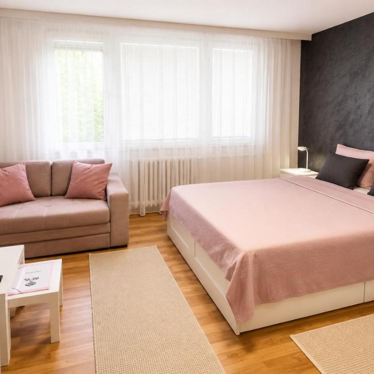 Apartman Novi Grad 4 - One-Bedroom Apartment - 16