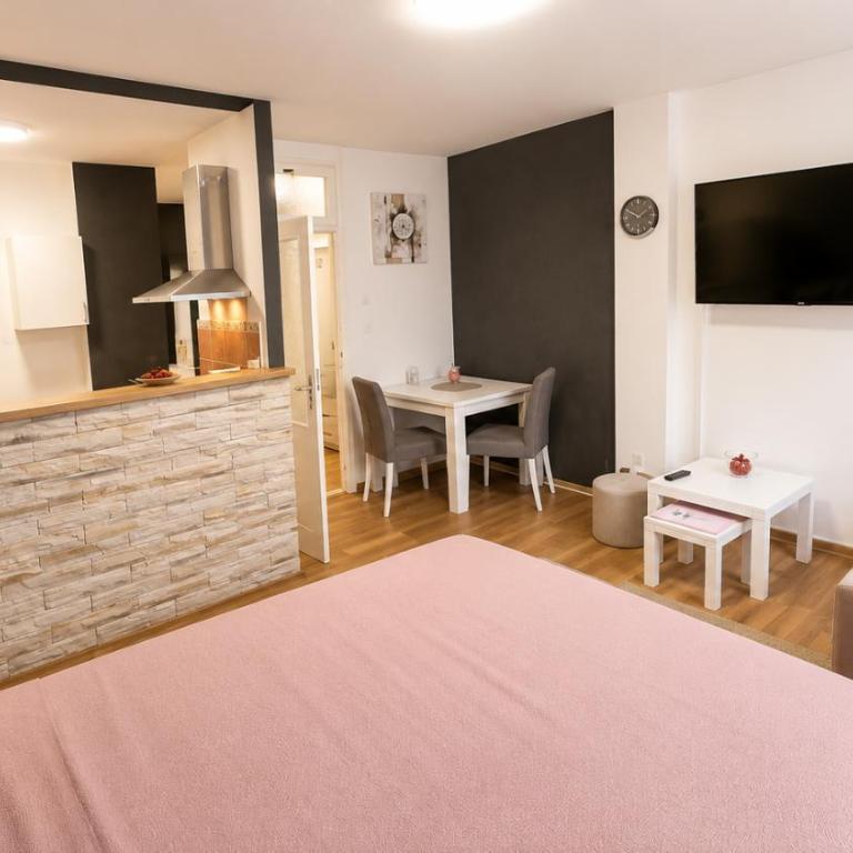 Apartman Novi Grad 4 - One-Bedroom Apartment - 18