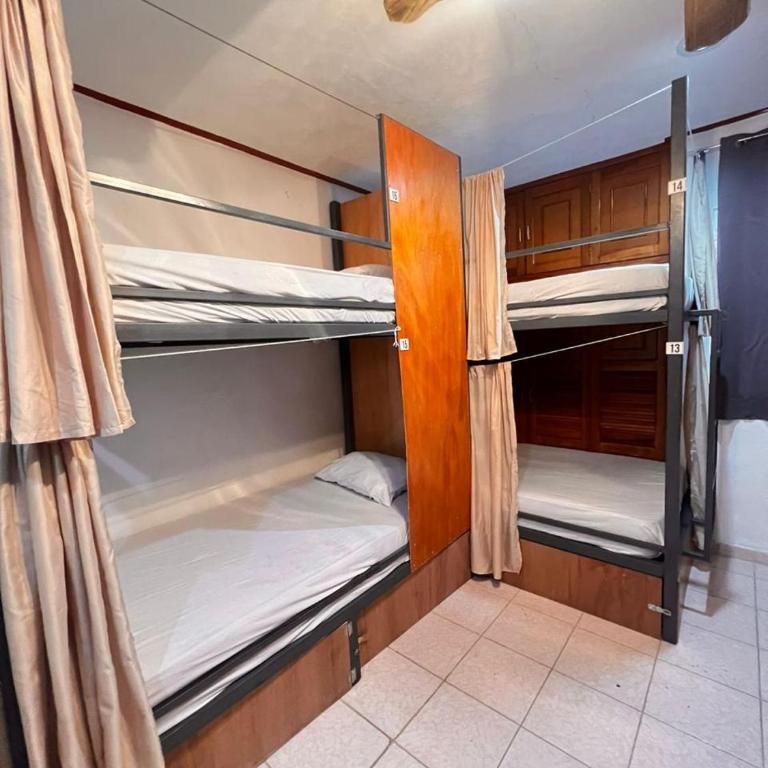 Hostel Treebu - Gemischter Schlafsaal - 3