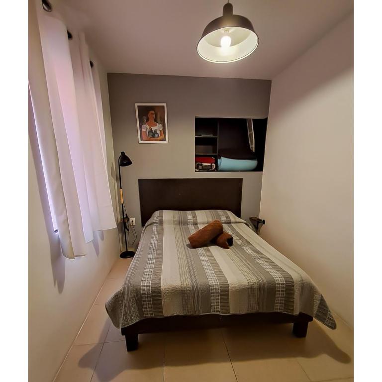 Cozy Flat Condesa - Appartement 1 Chambre - 22